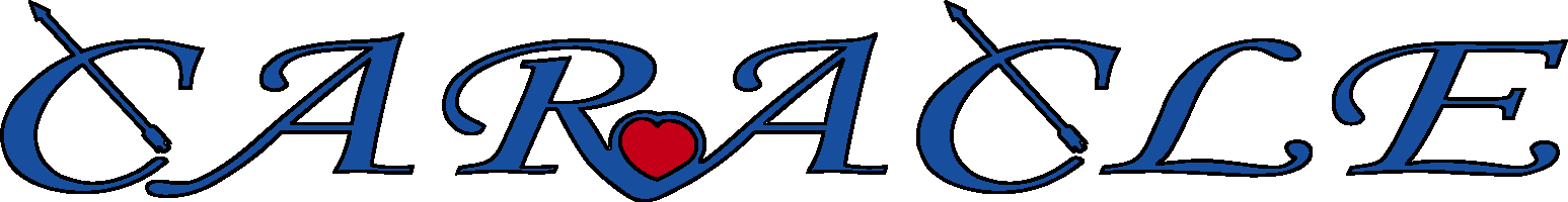 CARACLE(カラクル) / CARACLE +/-ドライバー付きキーホルダー