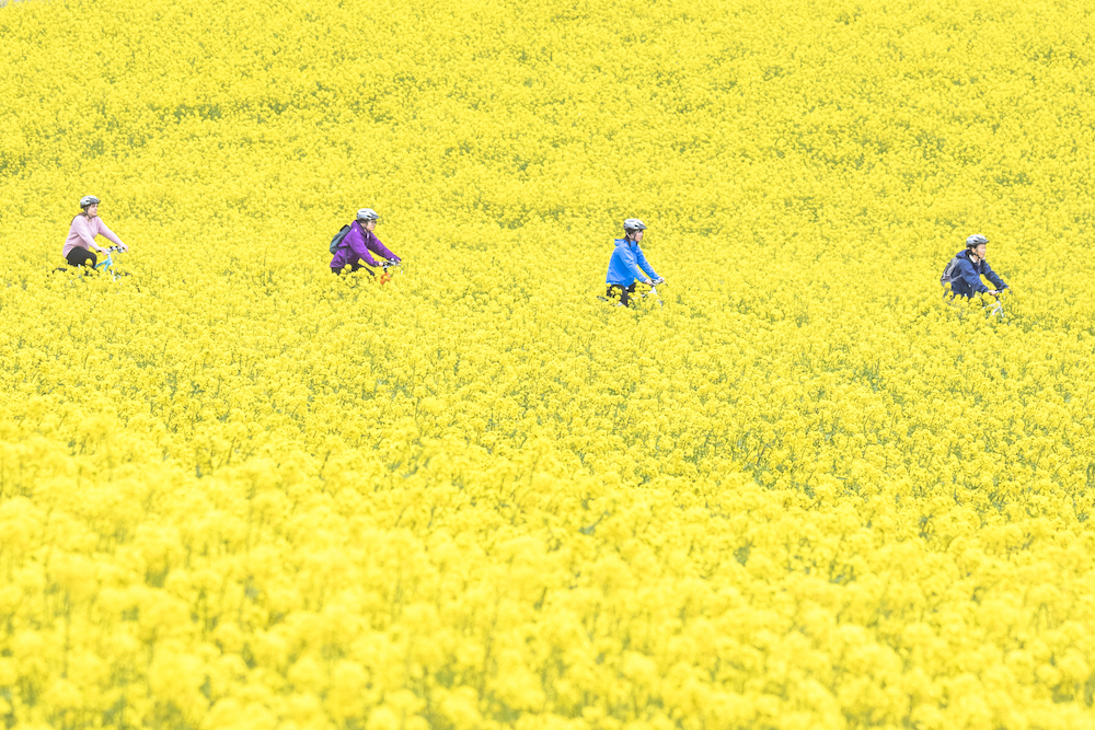 信越自然郷で春を感じてみませんか？